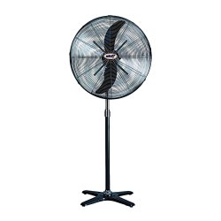 30 in Standing Fan Windy-CSF-30