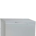 14.1 Cu. Ft. Chest Freezer  Blackpoint-BP14.1FZS-RUSSIA
