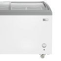15 Cu. Ft. Ice Cream Freezer Blackpoint-BP15-SHOW-STOPPER-GD-FZ-CUR