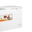24 Cu. Ft. Chest Freezer  Imperial-IMP24FZ-SOUTHPOLE-220-VT