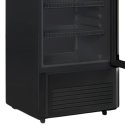 10.1 Cu. Ft. Vertical Showcase Cooler Blackpoint-BP10.1-DARK-PANTHER-VSB
