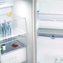 23 Cu. Ft. Refrigerator TCL-JMBI-23-INV-FR-WD-IG