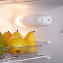 7 Cu. Ft. Refrigerator Imperial-IMP7FRG-TWEETY-F